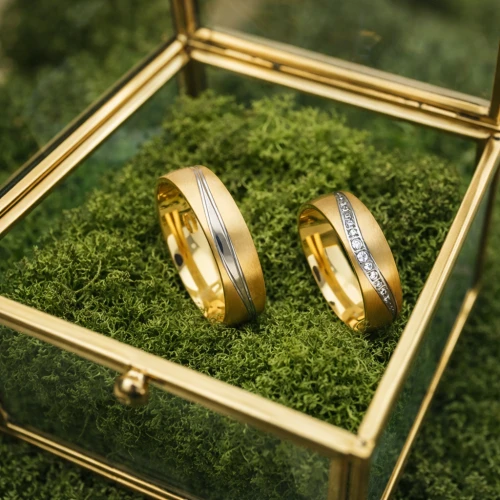 Tytanowe Obrączki Ślubne TI-40 Gold 14K