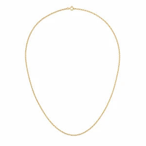 Srebrny łańcuszek pozłacany LAAR9019 Ankier 